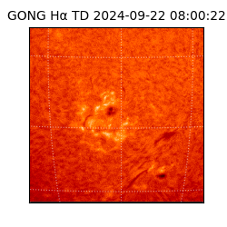 gong - 2024-09-22T08:00:22