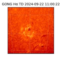 gong - 2024-09-22T11:00:22