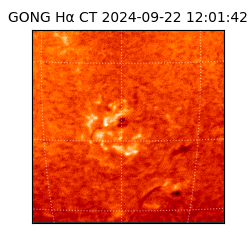 gong - 2024-09-22T12:01:42