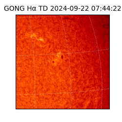 gong - 2024-09-22T07:44:22