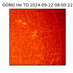 gong - 2024-09-22T08:00:22