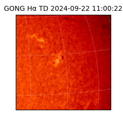 gong - 2024-09-22T11:00:22