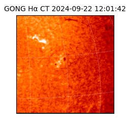 gong - 2024-09-22T12:01:42