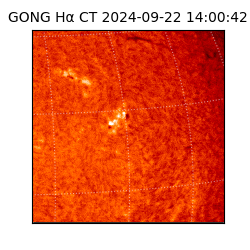 gong - 2024-09-22T14:00:42