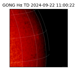 gong - 2024-09-22T11:00:22