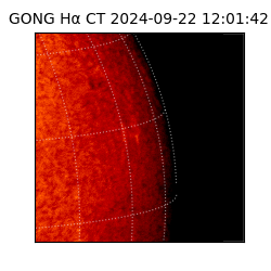 gong - 2024-09-22T12:01:42