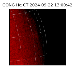 gong - 2024-09-22T13:00:42