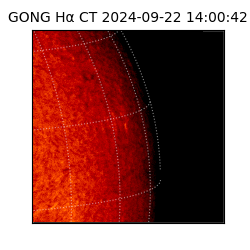 gong - 2024-09-22T14:00:42