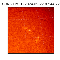 gong - 2024-09-22T07:44:22