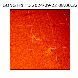 gong - 2024-09-22T08:00:22