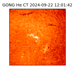 gong - 2024-09-22T12:01:42