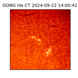 gong - 2024-09-22T14:00:42