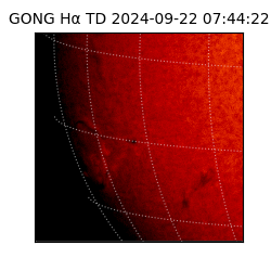 gong - 2024-09-22T07:44:22