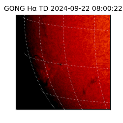 gong - 2024-09-22T08:00:22