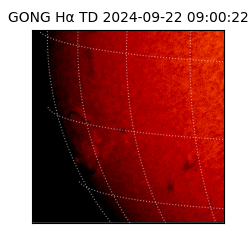 gong - 2024-09-22T09:00:22