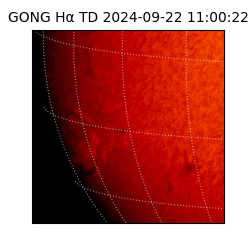 gong - 2024-09-22T11:00:22