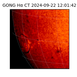 gong - 2024-09-22T12:01:42