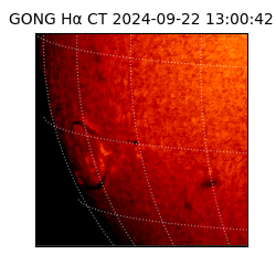 gong - 2024-09-22T13:00:42