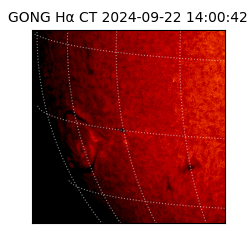 gong - 2024-09-22T14:00:42