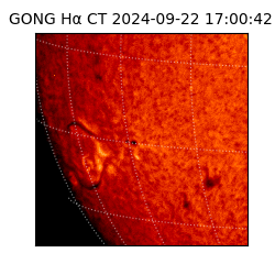 gong - 2024-09-22T17:00:42