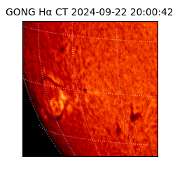 gong - 2024-09-22T20:00:42