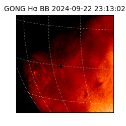 gong - 2024-09-22T23:13:02