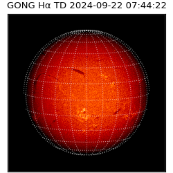 gong - 2024-09-22T07:44:22