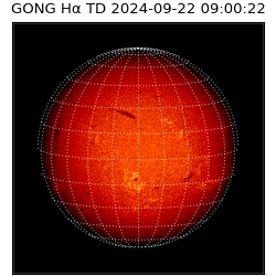 gong - 2024-09-22T09:00:22