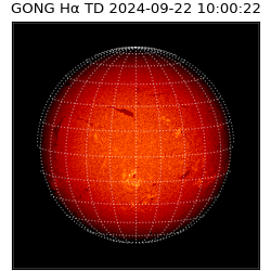 gong - 2024-09-22T10:00:22