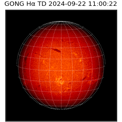 gong - 2024-09-22T11:00:22