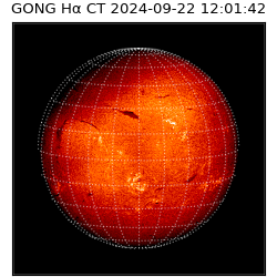 gong - 2024-09-22T12:01:42