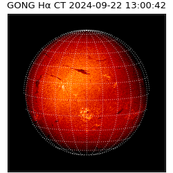 gong - 2024-09-22T13:00:42