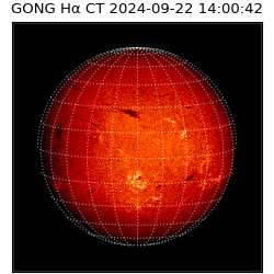 gong - 2024-09-22T14:00:42