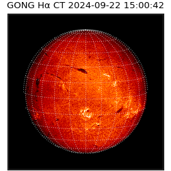 gong - 2024-09-22T15:00:42