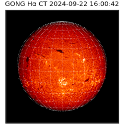 gong - 2024-09-22T16:00:42