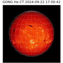 gong - 2024-09-22T17:00:42