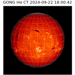 gong - 2024-09-22T18:00:42