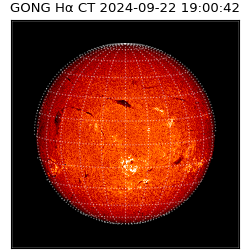 gong - 2024-09-22T19:00:42