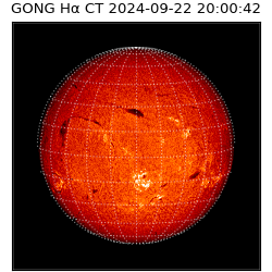 gong - 2024-09-22T20:00:42