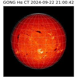 gong - 2024-09-22T21:00:42