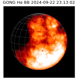 gong - 2024-09-22T23:13:02