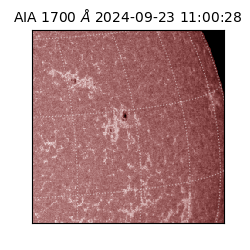 saia - 2024-09-23T11:00:28.718000