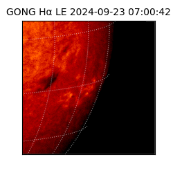 gong - 2024-09-23T07:00:42