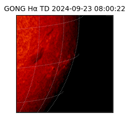 gong - 2024-09-23T08:00:22