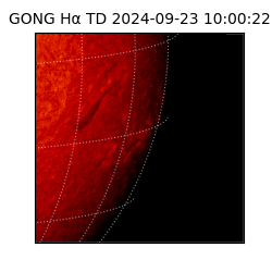 gong - 2024-09-23T10:00:22