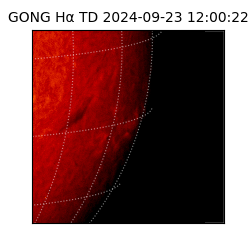 gong - 2024-09-23T12:00:22