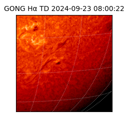 gong - 2024-09-23T08:00:22