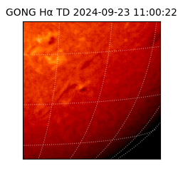 gong - 2024-09-23T11:00:22