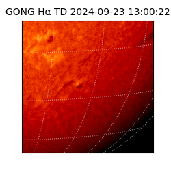 gong - 2024-09-23T13:00:22