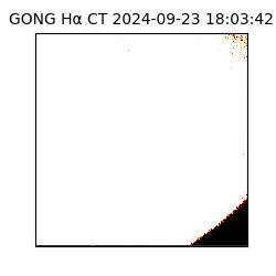 gong - 2024-09-23T18:03:42